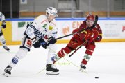 AMBRI - TIGERS