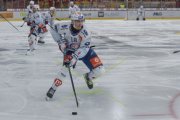 TIGERS - ZSC