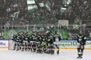 OLTEN - GCK LIONS