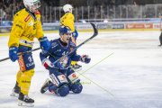 ZSC - DAVOS