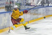 FRIBOURG - TIGERS