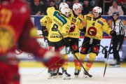 TIGERS - BERN