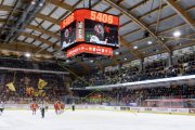 TIGERS - LAUSANNE