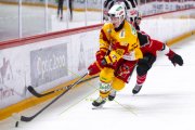 LAUSANNE - TIGERS