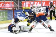 AMBRI - ZSC