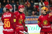 TIGERS - ZSC