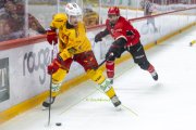 LAUSANNE - TIGERS