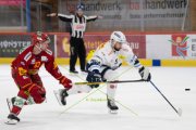 TIGERS - AMBRI
