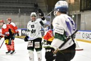 BELLINZONA - OLTEN