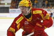 TIGERS - KLOTEN