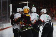 TIGERS - LAUSANNE