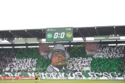 ST.GALLEN - YB