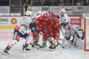 TIGERS - ZSC