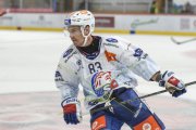 TIGERS - ZSC