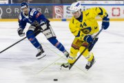 HCC - AROSA