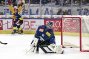 AMBRI - TIGERS