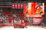LAUSANNE - TIGERS