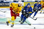 FRIBOURG - TIGERS