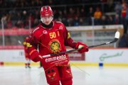 TIGERS - LAUSANNE