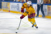 FRIBOURG - TIGERS