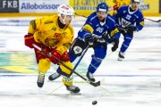 FRIBOURG - TIGERS