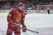 TIGERS - ZSC