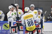 AMBRI - TIGERS