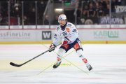 TIGERS - ZSC