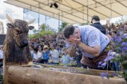 AARGAUER KANTONALSCHWINGFEST