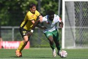 YB - KRIENS