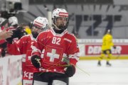 SCHWEIZ - SCHWEDEN