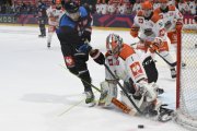 FRIBOURG - SHEFFIELD
