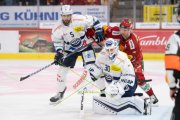 TIGERS - AMBRI