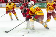 LAUSANNE - TIGERS