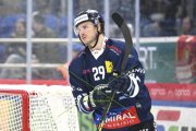 AMBRI - TIGERS