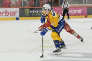 TIGERS - DAVOS