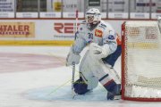 TIGERS - ZSC