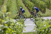 TOUR DE ROMANDIE FRAUEN 2023