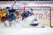 ZSC - TIGERS