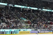 FIALA ALLSTARS - ZSC