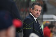 TIGERS - ZSC