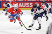 ZSC - STRAUBING