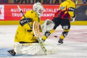 SCB - AJOIE