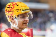 TIGERS - AMBRI
