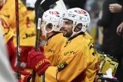 AMBRI - TIGERS