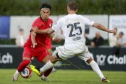 RAPPERSWIL - CAROUGE