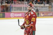 TIGERS - DAVOS