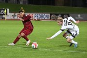 BELLINZONA - WIL