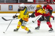 LAUSANNE - SC BERN