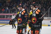 BERN - TIGERS